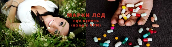 сатива Покровск