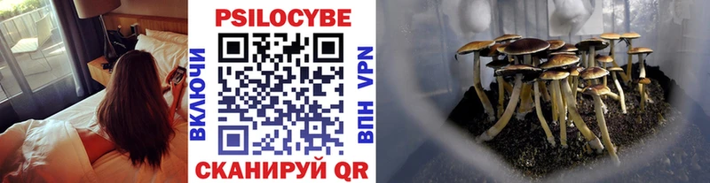 Купить где  Киржач  Псилоцибиновые грибы Psilocybine cubensis 